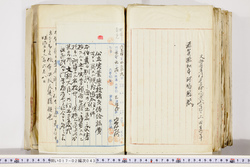 明い017020430014.jpg