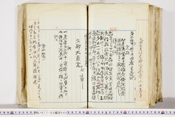 明い017020430015.jpg