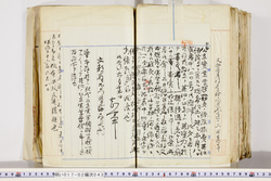 明い017020430016.jpg