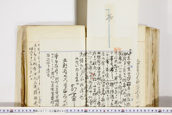 明い017020430017.jpg
