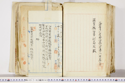 明い017020430019.jpg