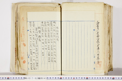 明い017020430023.jpg