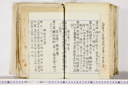 明い017020430025.jpg