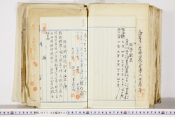 明い017020430026.jpg