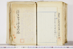 明い017020460003.jpg