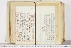 明い017020480002.jpg