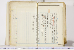 明い017020500002.jpg
