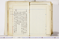 明い017020500003.jpg