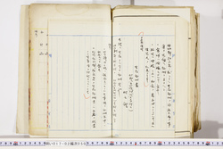 明い017020500004.jpg