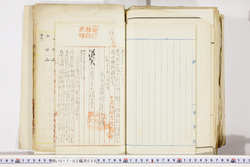 明い017020500005.jpg