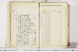 明い017020520003.jpg
