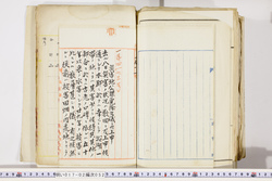 明い017020520005.jpg