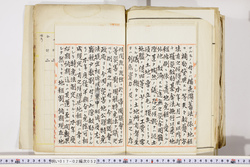 明い017020520006.jpg