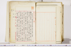 明い017020520008.jpg