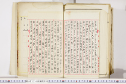 明い017020520009.jpg