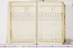 明い017020520025.jpg