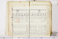 明い017020520029.jpg