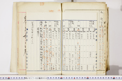 明い017020520032.jpg