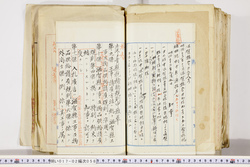 明い017020580002.jpg