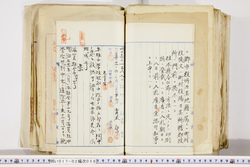 明い017020580003.jpg