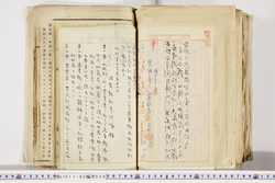 明い017020590002.jpg