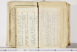 明い017020590003.jpg