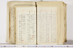 明い017020590004.jpg