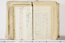 明い017020590005.jpg