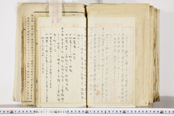 明い017020590006.jpg