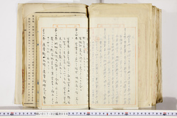 明い017020590008.jpg
