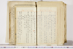明い017020590009.jpg