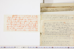 明い017020590011.jpg