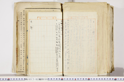 明い017020590013.jpg