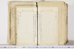 明い017020590014.jpg