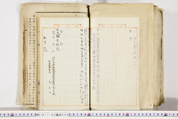 明い017020590015.jpg