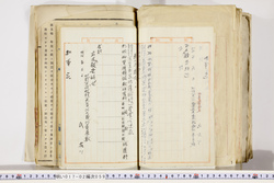 明い017020590016.jpg