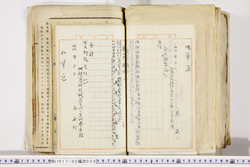 明い017020590017.jpg