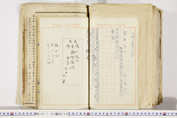 明い017020590018.jpg
