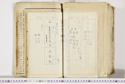 明い017020590019.jpg