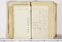 明い017020590021.jpg