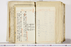 明い017020590022.jpg