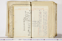 明い017020590023.jpg