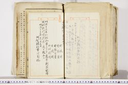 明い017020590024.jpg