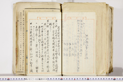 明い017020590025.jpg