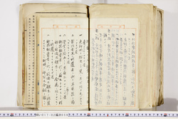 明い017020590026.jpg