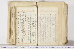 明い017020590028.jpg