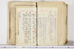 明い017020590029.jpg