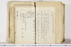 明い017020590030.jpg