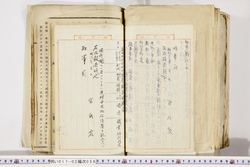 明い017020590031.jpg