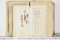 明い017020590032.jpg